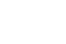 最新釣果