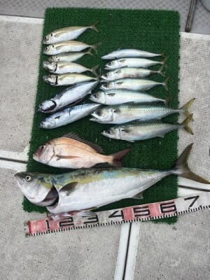 IMG_9911.jpeg