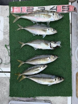 IMG_0099.jpeg