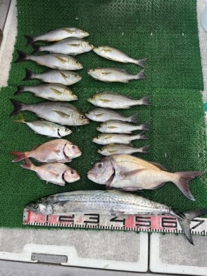 IMG_0110.jpeg