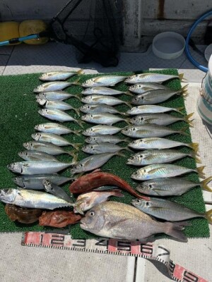 IMG_0188.jpeg