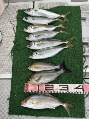 IMG_0211.jpeg