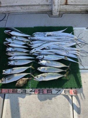IMG_0265.jpeg